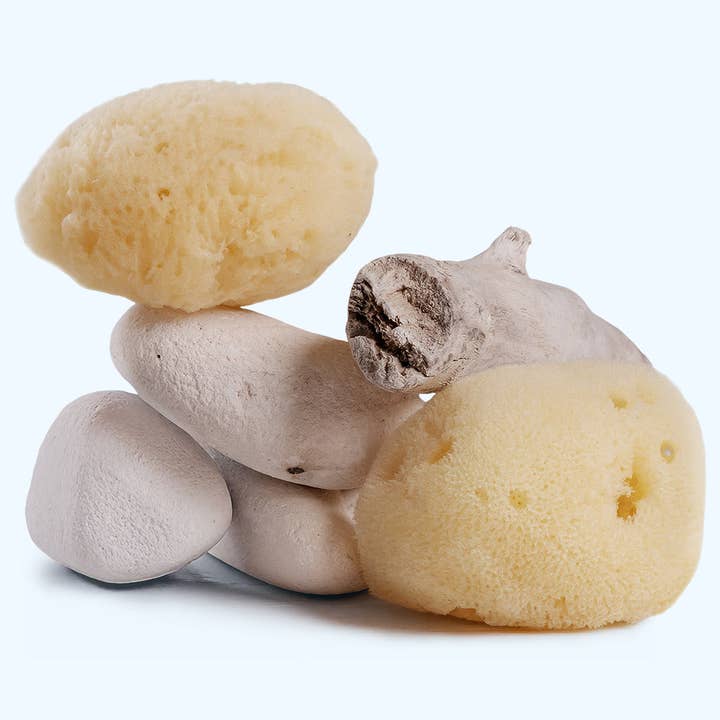 Éponge nettoyante et exfoliante | Éponge de mer douce soyeuse 5-7,5 cm pour la vente par Katari Beauty