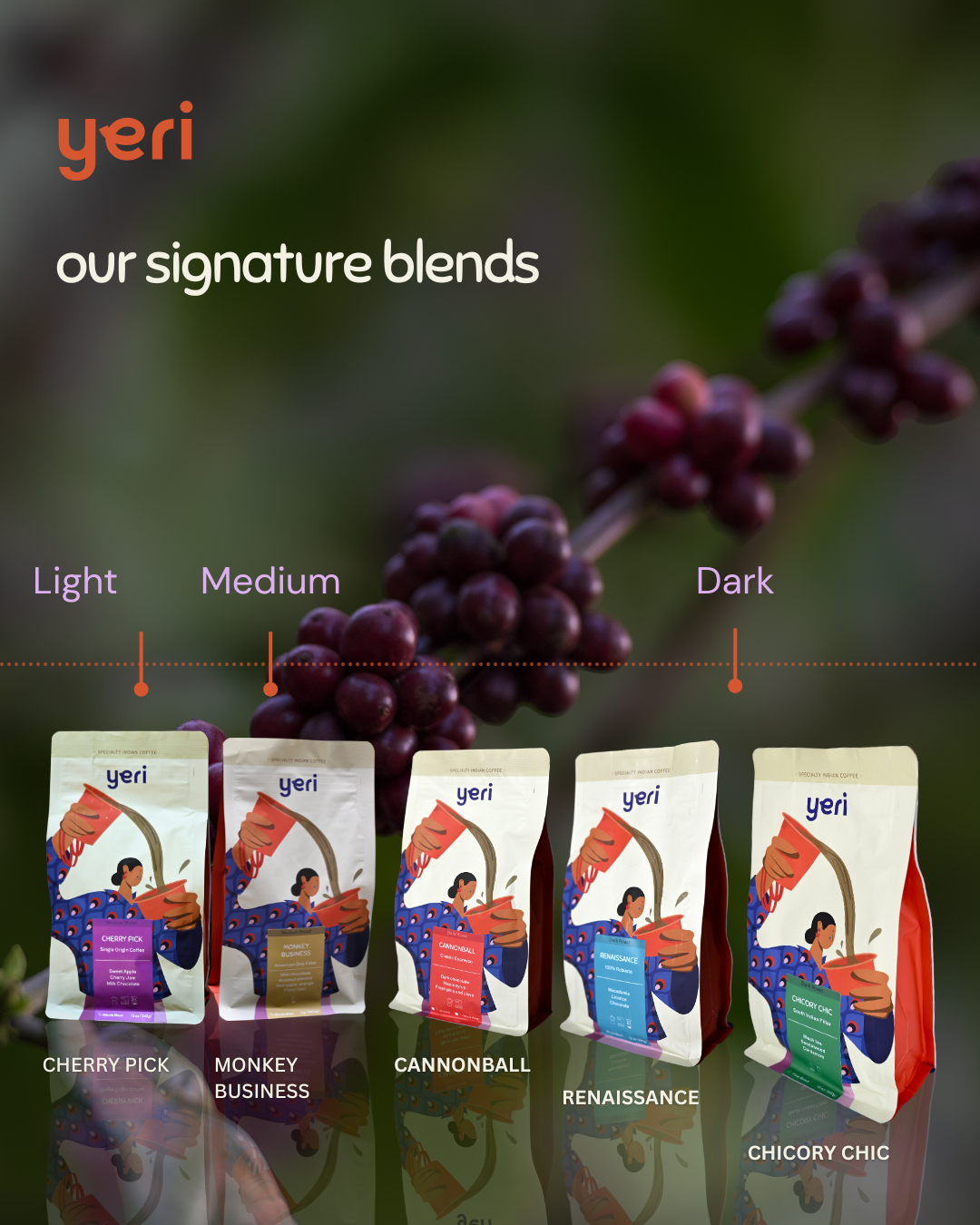 Yeri Coffee - Wholesale Coffee Beans - Renaissance: 100% Robusta Dark Roast -Earthy, Dark Chocolate3