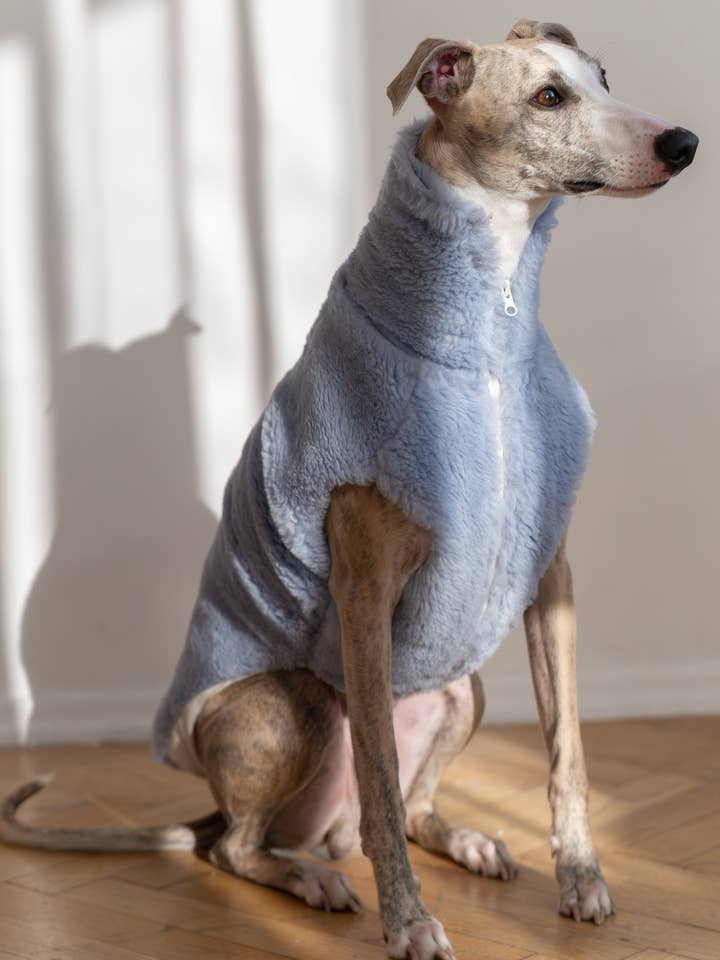 Hundeweste aus Wolle - Blau für den Großhandel von Mellow