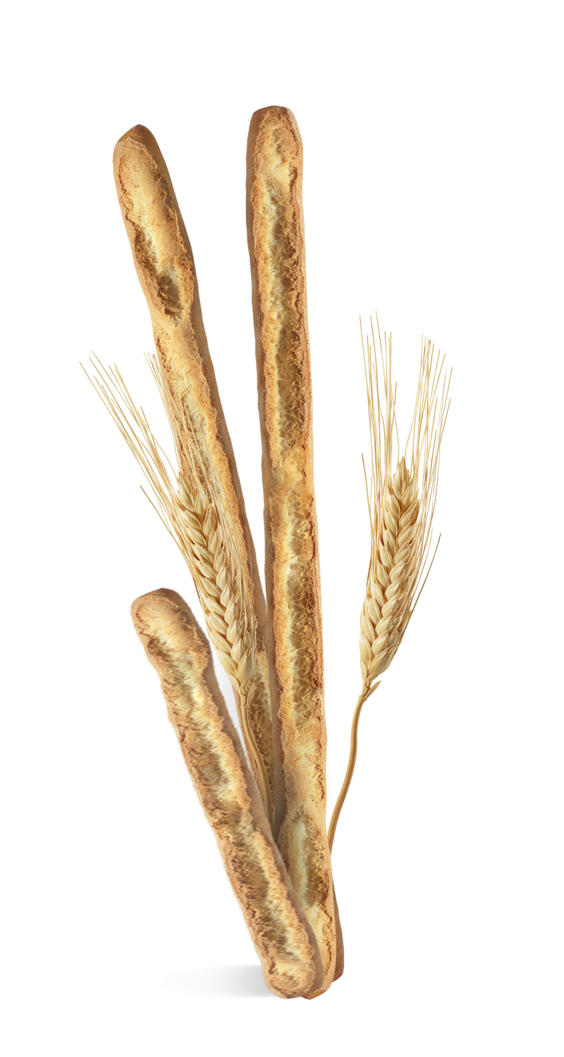 Gourmandise - Wholesale Bread Mix - Grissini Spaccatini Panealba (20 bags)1