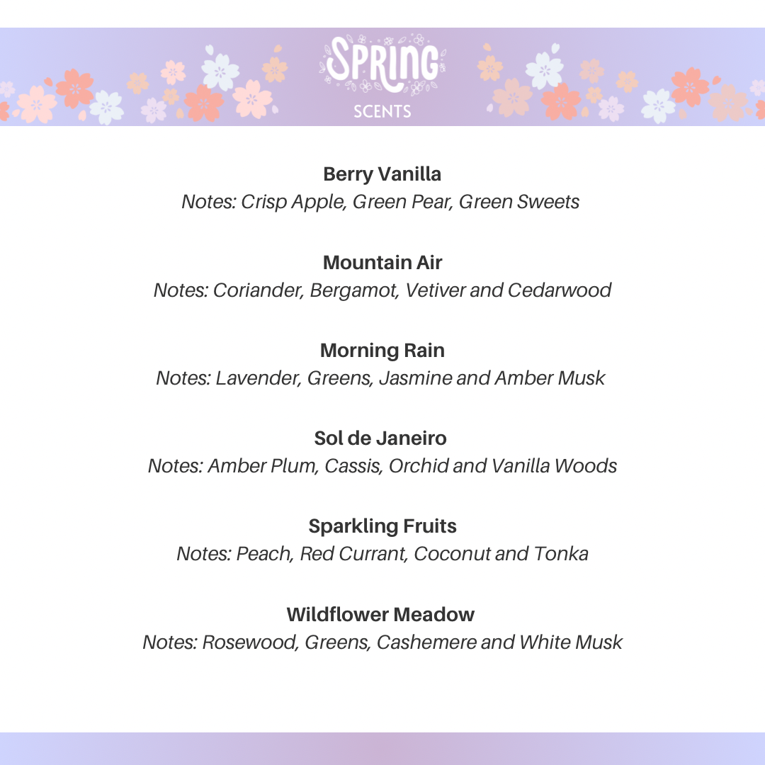 Dreamy Gallery Candle Co – wholesale Burkljus – Set med 12 sojavaxljus i svarta glas med valfri doft och etikett12