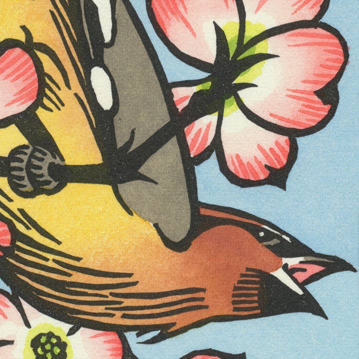 Tarjeta Cedar Waxwing para venta al por mayor de Anagram Press