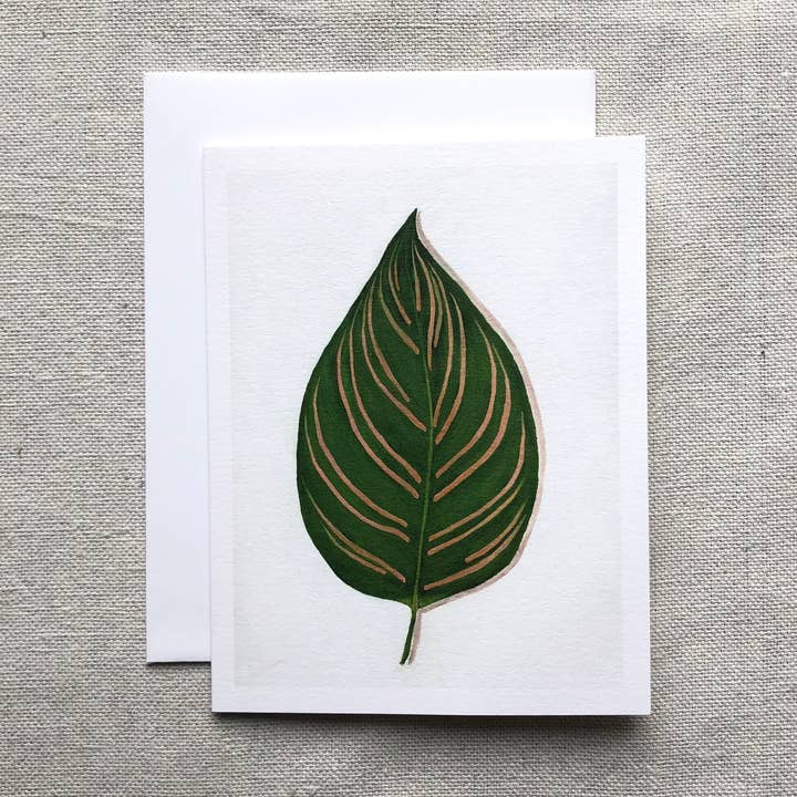 Calathea Ornata Houseplant Any Occasion Card for wholesale by Come Alive Studio