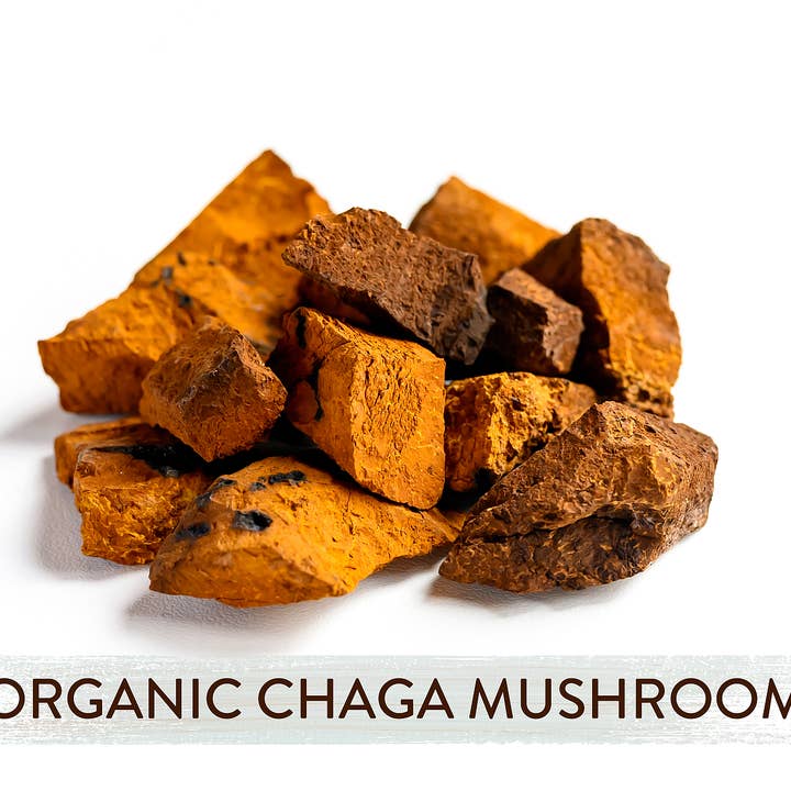 Mushroom Cups d.o.o. - Wholesale Ground Coffee - Go Glow - mushroom coffe with Chanterelle and Chaga2