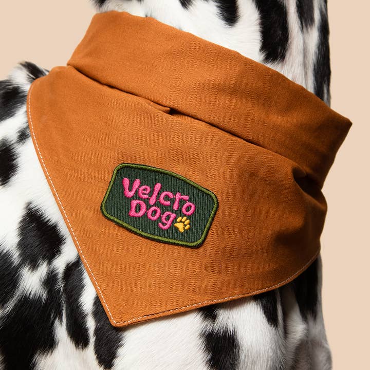 Scout's Honour - Wholesale Pet Bandana - Dog - Velcro Dog iron-on patch for dogs