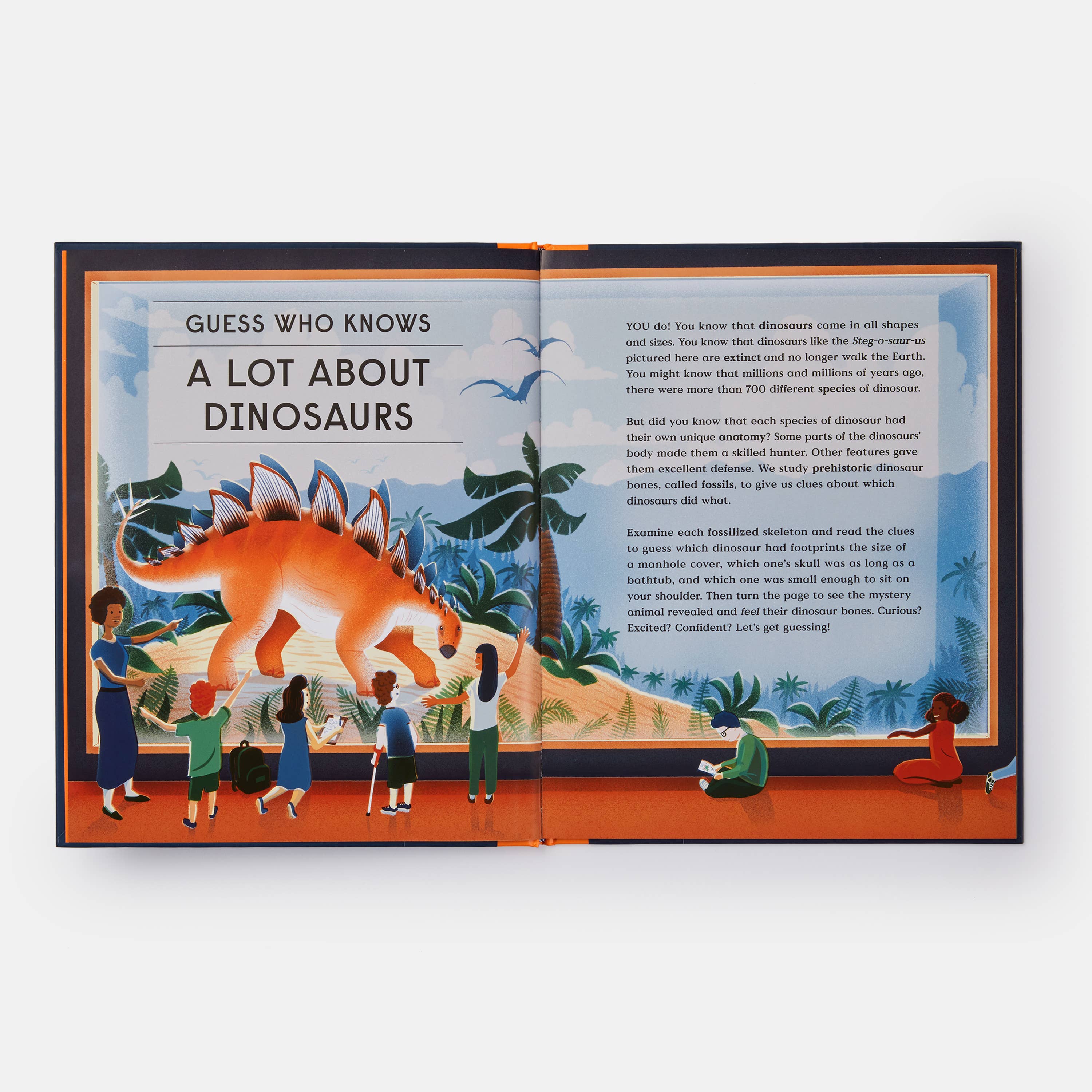 Phaidon - Wholesale Middle Grade Book (9-12) - Book of Dinosaurs: 10 Record-Breaking Prehistoric Animals2