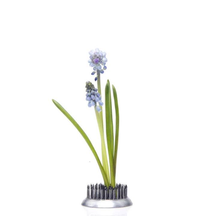 Chive - Wholesale Garden Tool - Floral Frogs / Kenzans