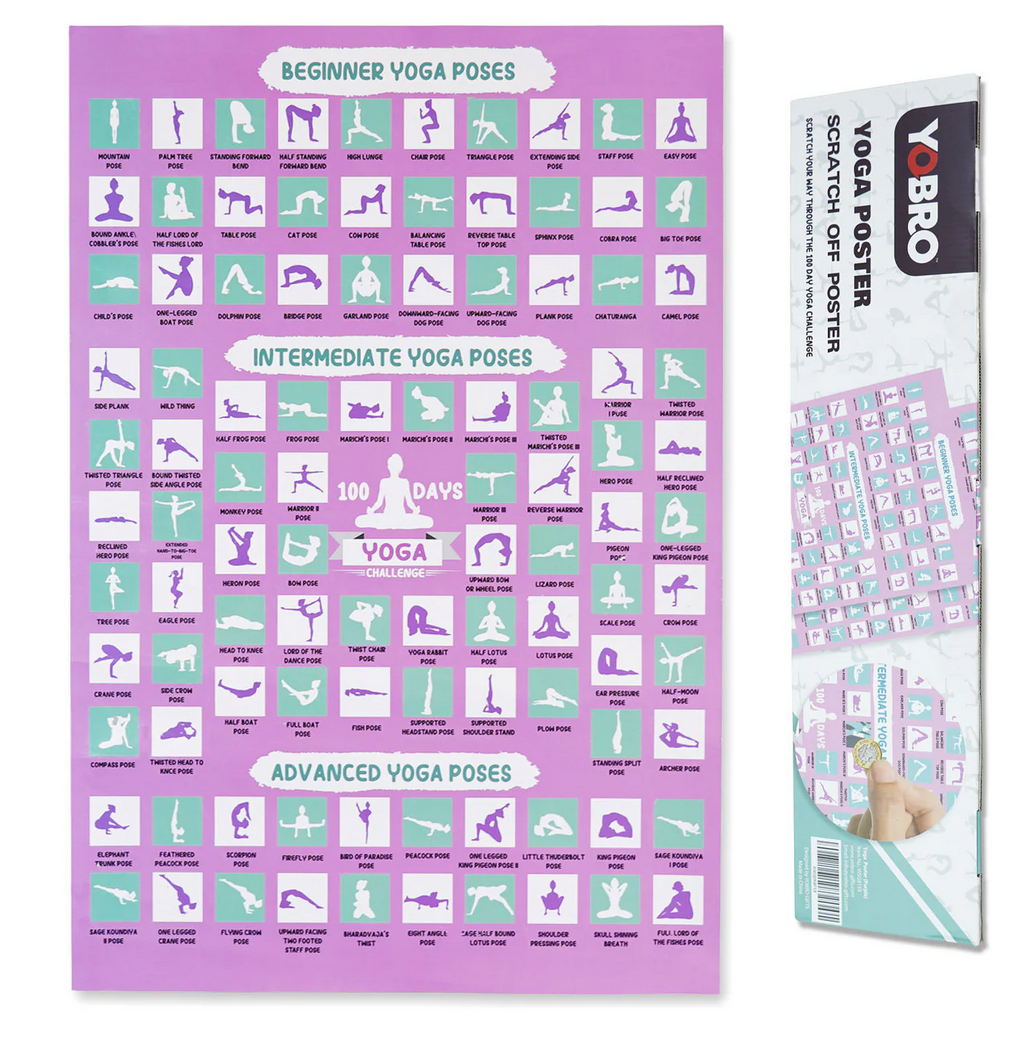 The Diabolical Gift People - Novelty Gifts, Christmas Gifts - Wholesale Yoga Accessories - 100 Days Yoga Challenge Poster - Christmas Gifts for Women0