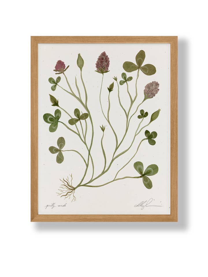 Hübsches Unkraut für den Großhandel von Cocoshalom