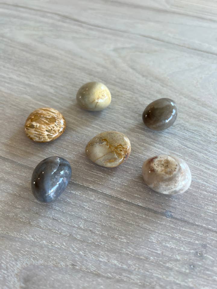 Fossile Koral Tumbles for engroshandel hos Luna Rae