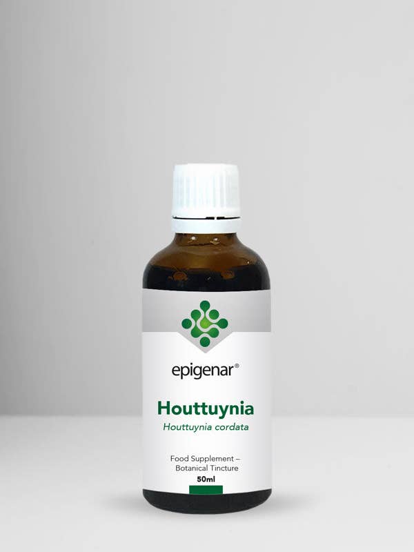 Tintura di Epigenar Houttuynia 50ml per la vendita all'ingrosso da parte di Rio Health Products