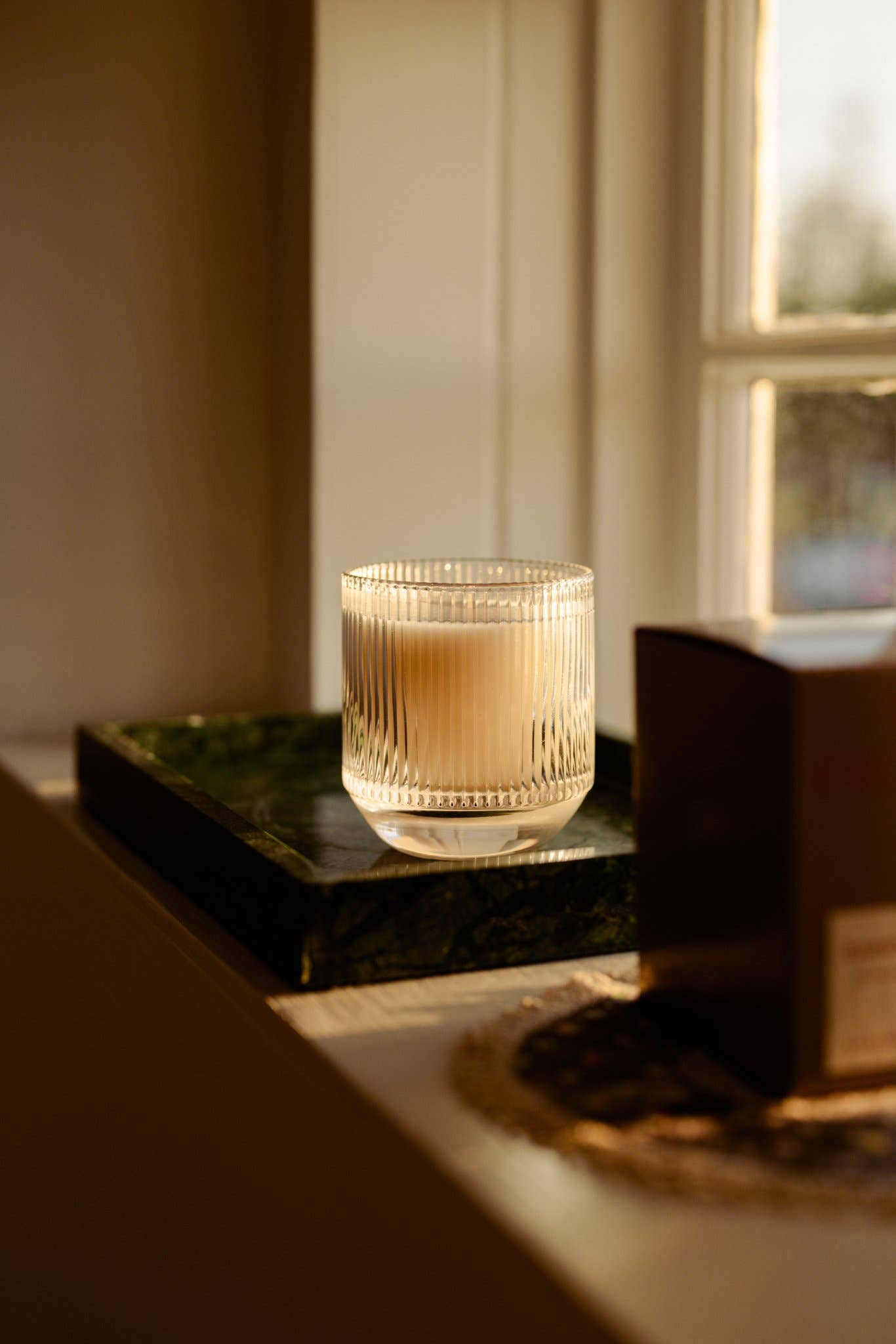 Light Provisions - Wholesale Jar/Filled Candle - 9.5 oz Oak & Currant Candle 12