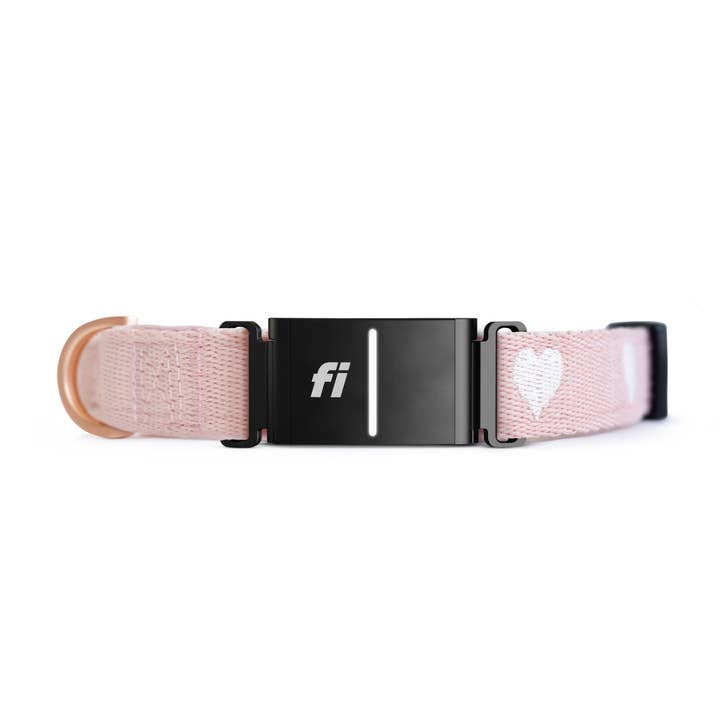 The DOGISTRY x Fi Sweetheart 3+ Collar Band for wholesale by DOGISTRY™