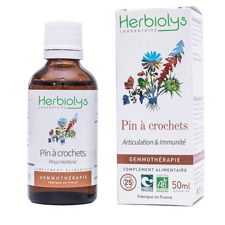 Hooked Pine / Mountain Pine Gemmotherapy for wholesale by Herbiolys