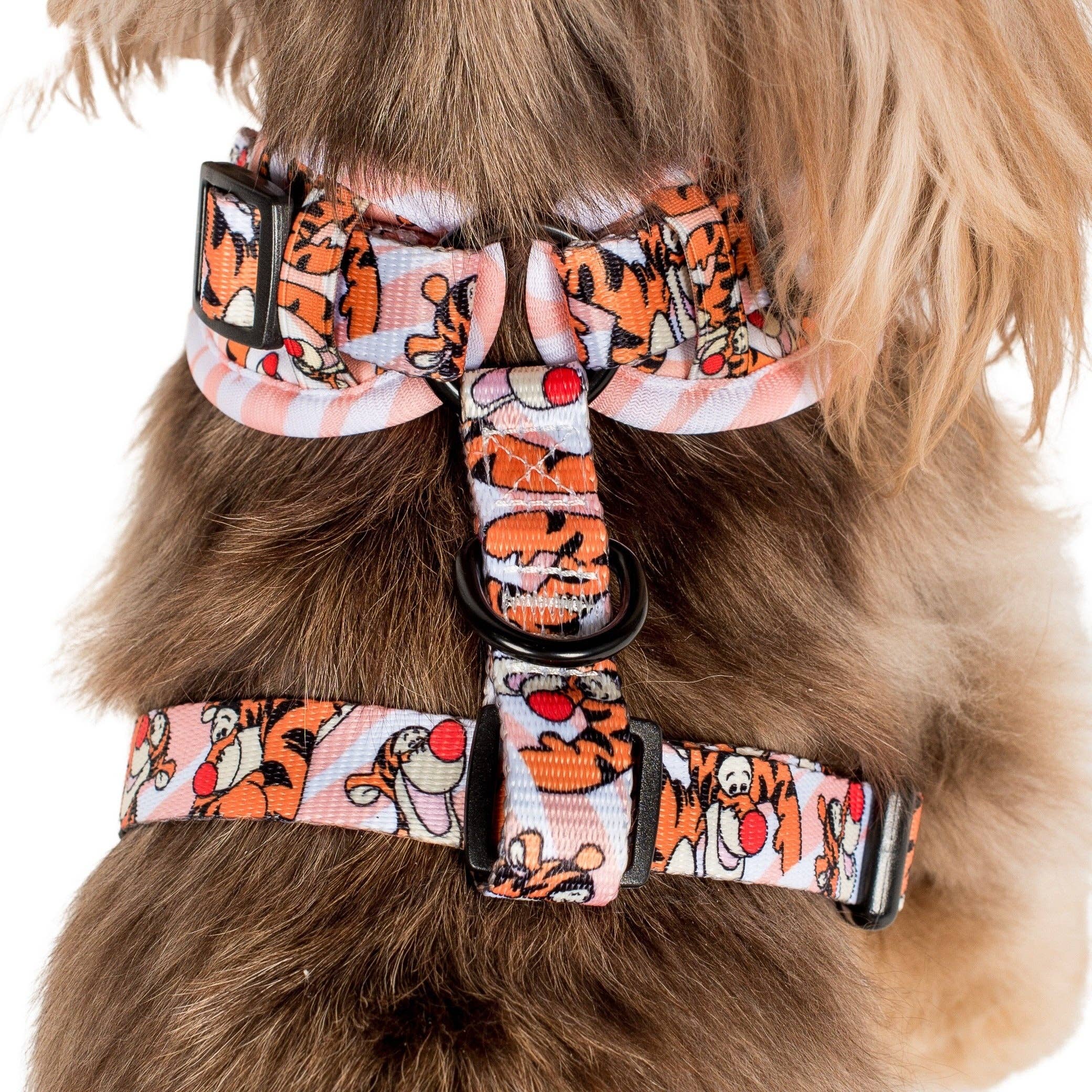 Pablo & Co. Boutique – Engroshandel Kæledyrssele – Hund – The One of a Kind Tigger: justerbar sele3