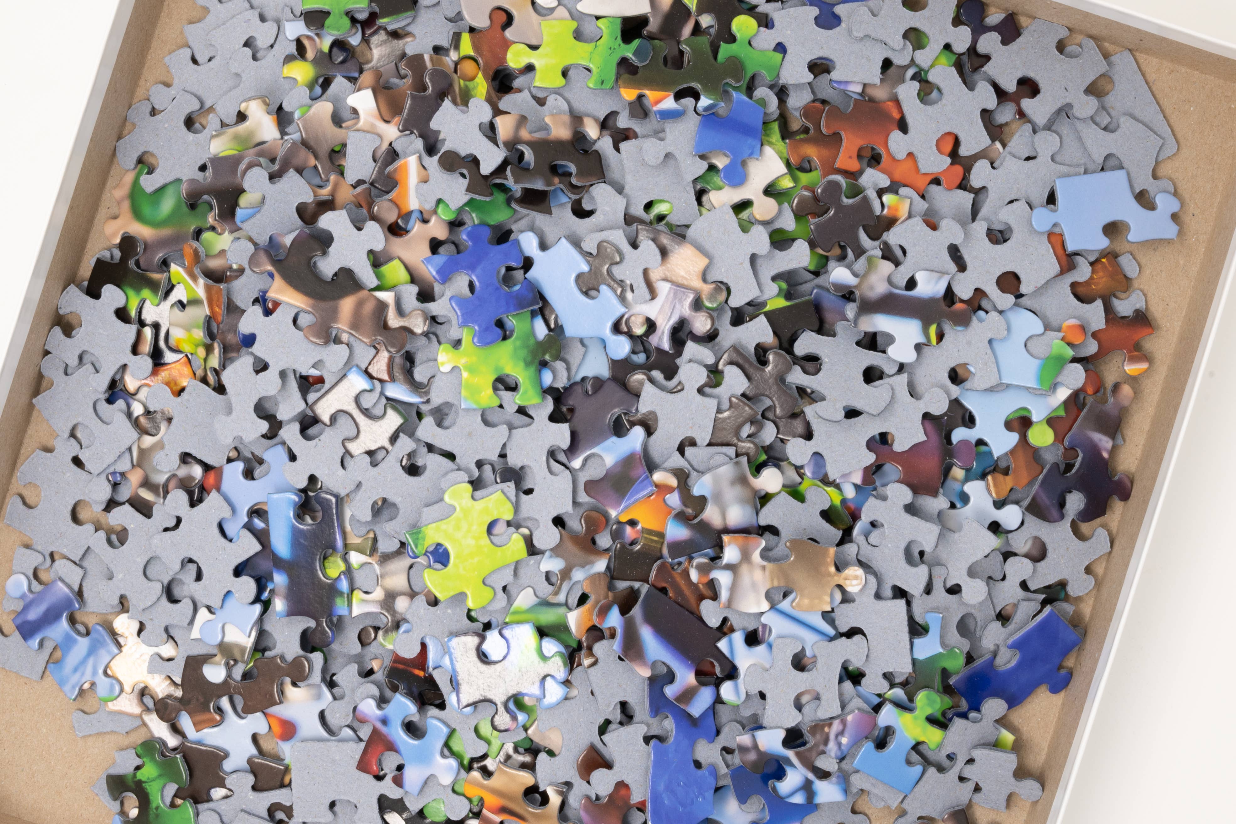 Phil Stagg Photography - Wholesale Puzzle - Adult - Northern Cardinals - 500 Piece Puzzle3