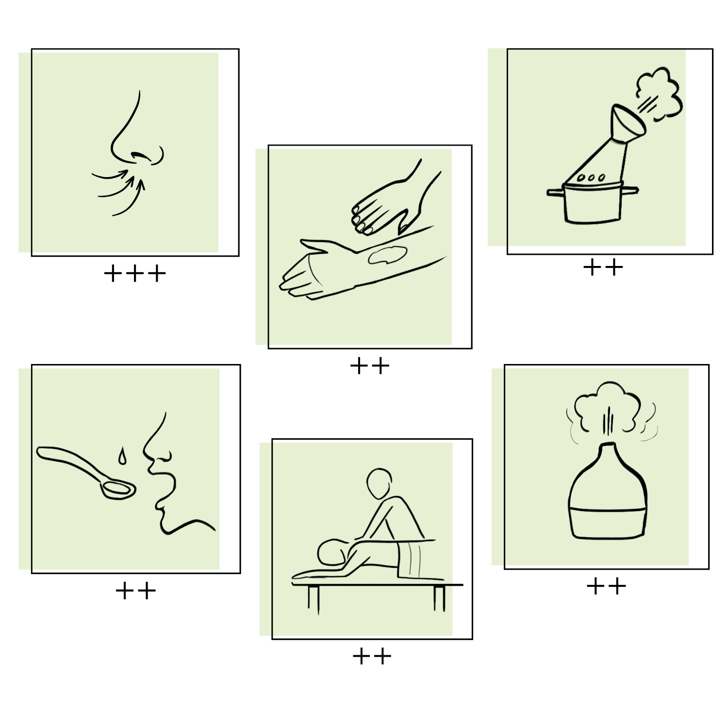 Essences Naturelles Corses - Vente Huile essentielle - Combava corse biodynamie - huile essentielle - Aromathérapie3