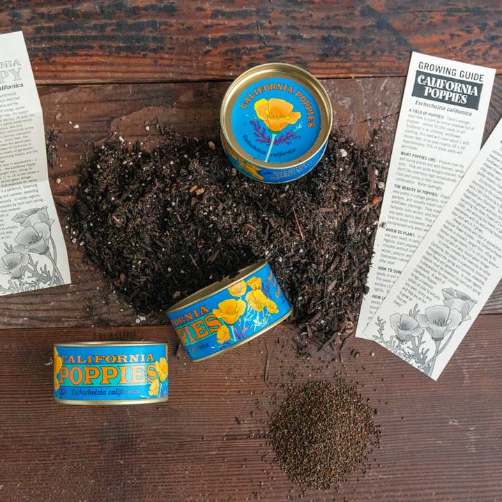 The Jonsteen Company - Wholesale Plant Seeds - California Poppy | Seed Grow Kit