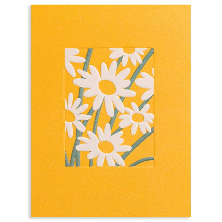 DAISIES BLANK GREETING CARD 3.5 x 4.75" for wholesale by Calypso Cards LLC