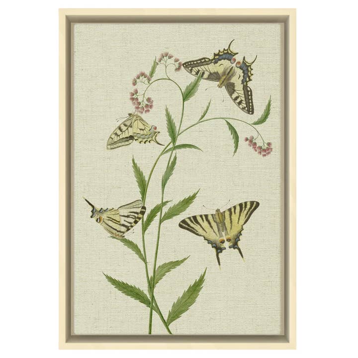 Mariposas - Mural impreso en tela para venta al por mayor de SPLASHWORKS