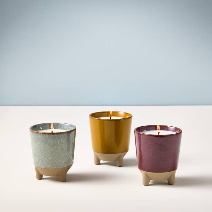 Modern Sprout - Wholesale Jar/Filled Candle - Glow & Grow 2-in-1 Candle + Grow Kit