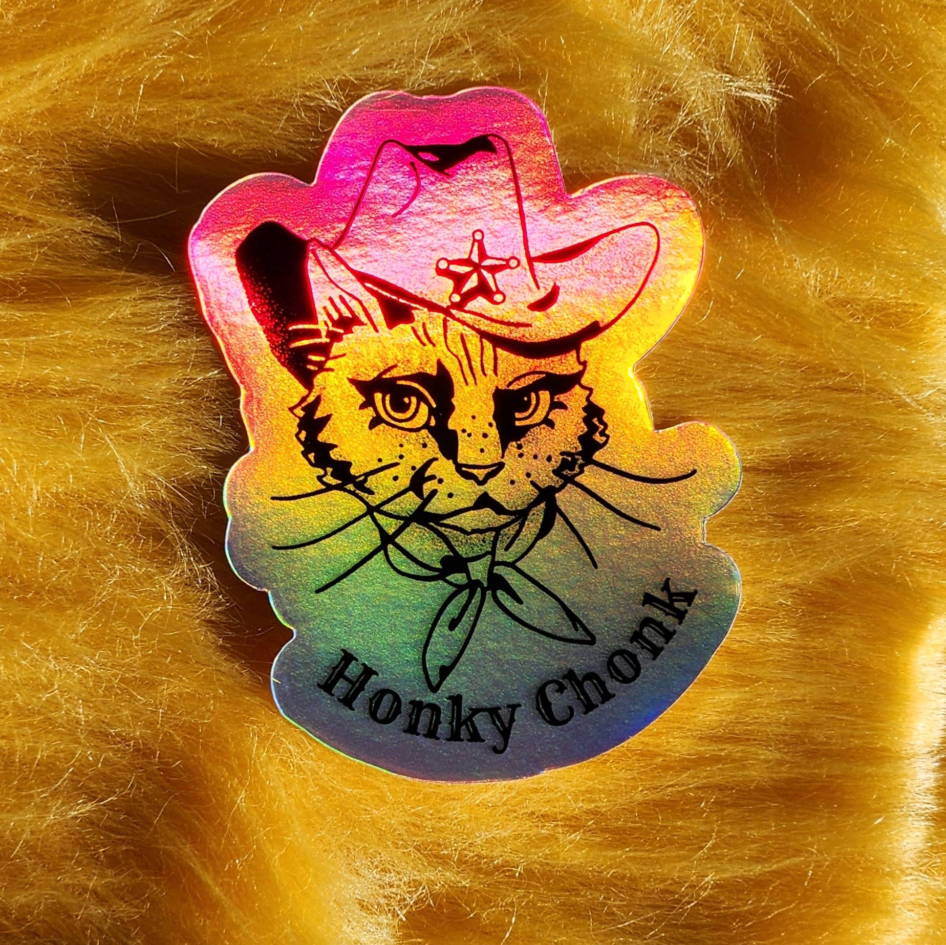 Luxe Trauma – Engroshandel Klistermærke – Honky Chonk kat cowboy vestlige mærkat hydrokolbe tidsskrift4