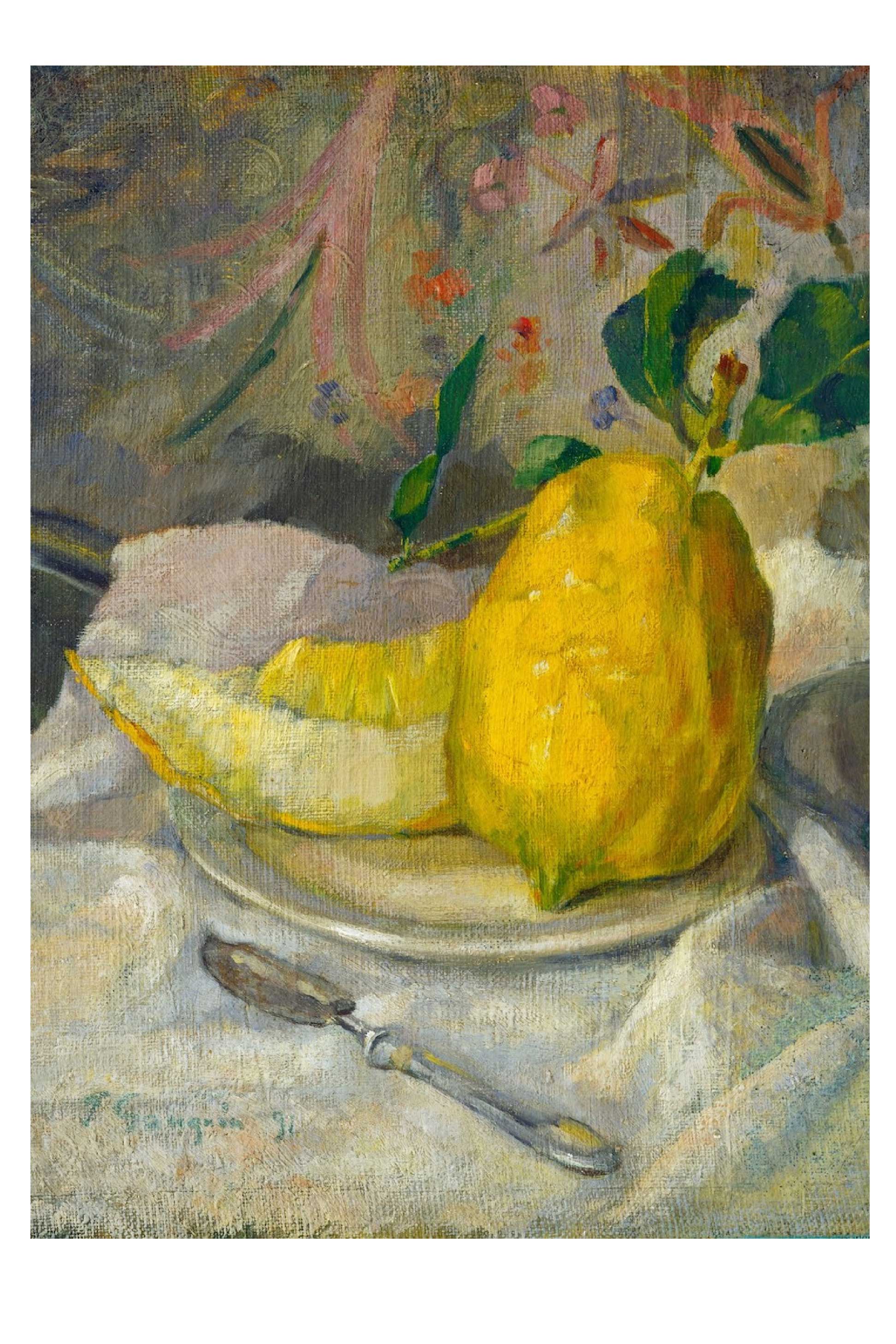 Lazybones - Wholesale Art Print - Art print set - The Naturalist0