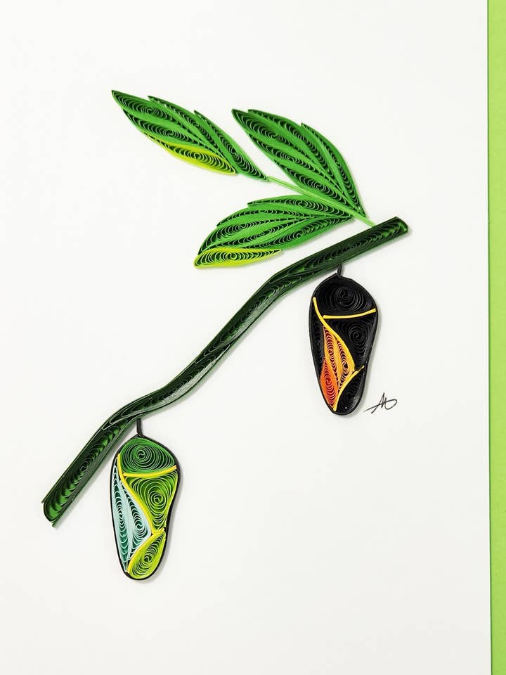 #254 chry - Chrysalis for wholesale by Iconic Quilling