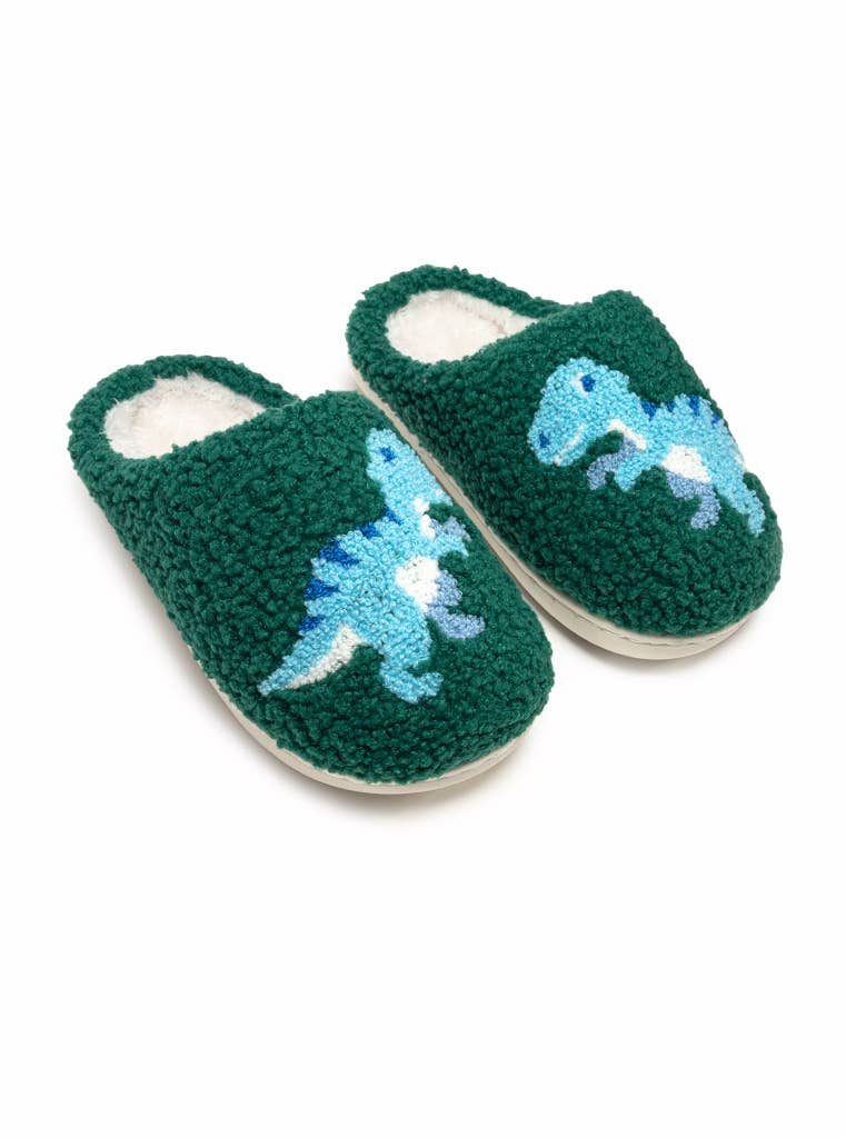 Living Royal - Wholesale Slippers - Kids - Indoor / Outdoor Slippers - Kids - Blue Dinosaurs - Green3