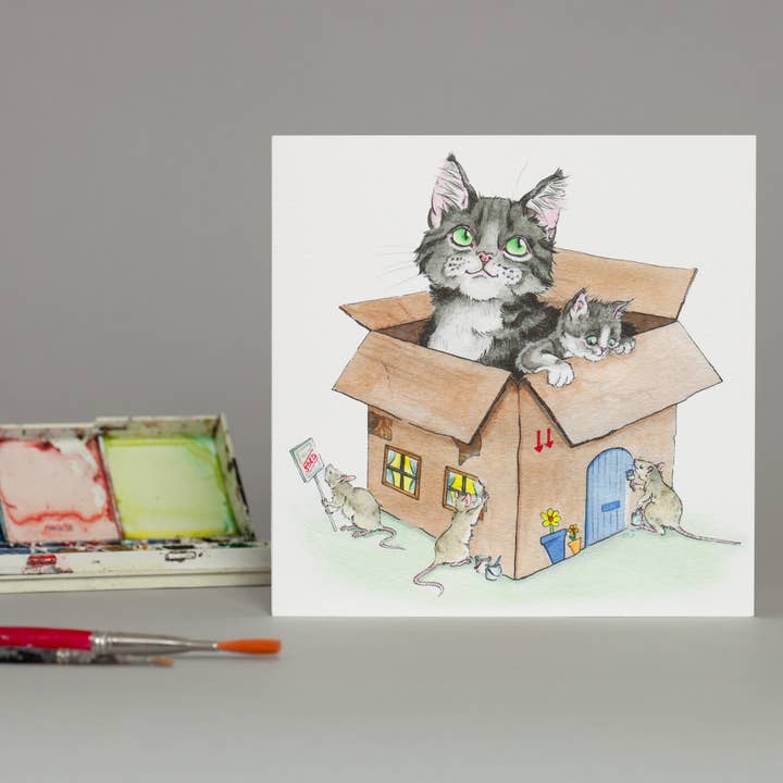Cat in a box for wholesale by DMC Illustrations