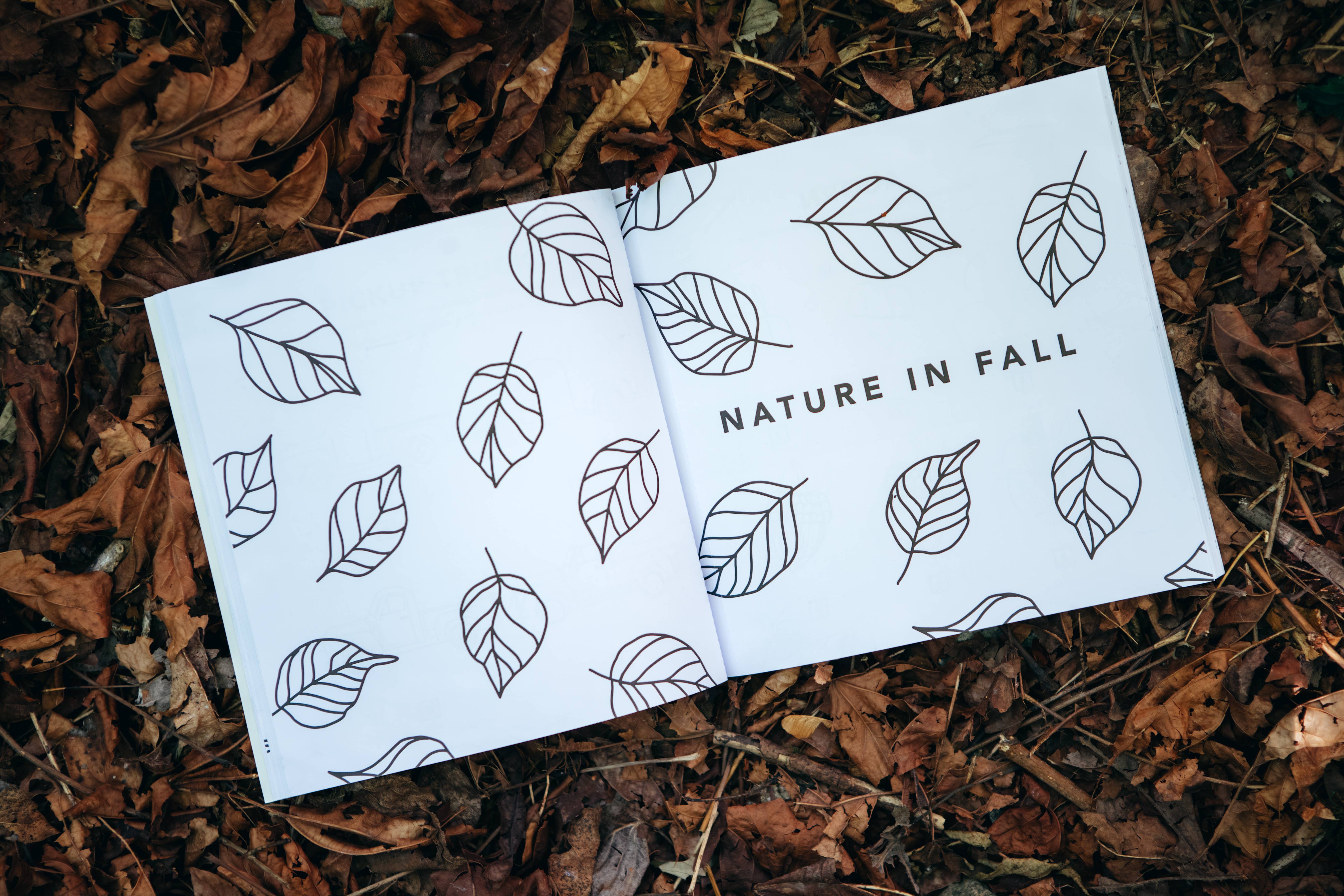 Paige Tate & Co. - Wholesale Coloring & Activity Book - Kids & Baby - Fall Things: How to Draw Books for Kids with Pumpkins, Scarecrows, Turkeys and More5