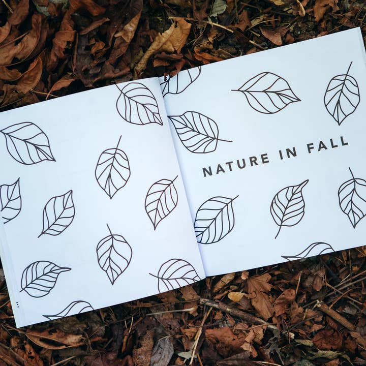 Paige Tate & Co. - Wholesale Coloring & Activity Book - Kids & Baby - Fall Things: How to Draw Books for Kids with Pumpkins, Scarecrows, Turkeys and More5