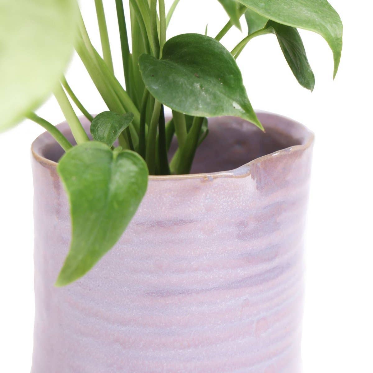 Chive Canada - Wholesale Plant Pot - Channa Japanese Minimalist Flower Pot For Indoor Plants8