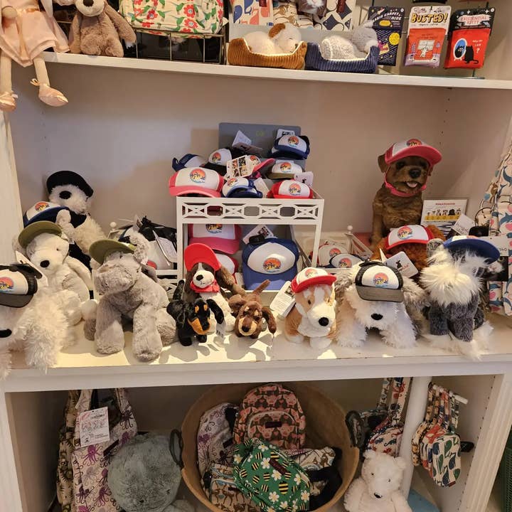 PupLid - Wholesale Pet Hat - Dog - Dog Model + Extra PupLid for Display2