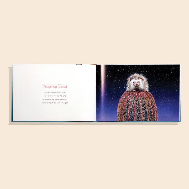 Blue Star Press - Wholesale Preschool Book (3-5) - You Stole My Name Too: A Picture Book for Kids3