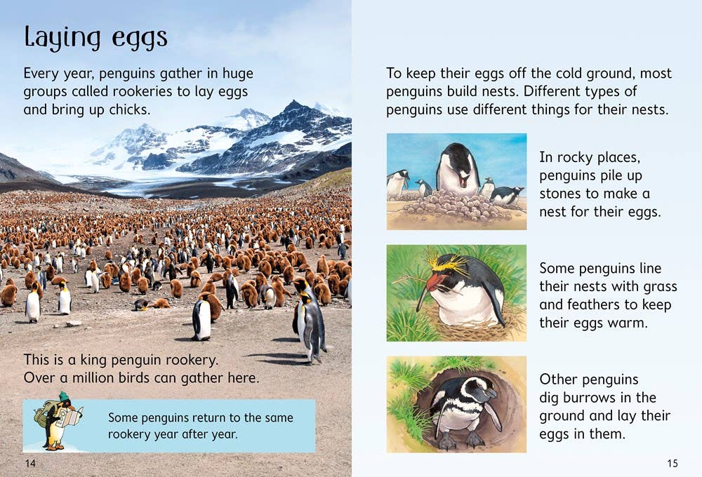 HarperCollins - Wholesale Early Reader Book (6-8) - Penguins : Usborne2
