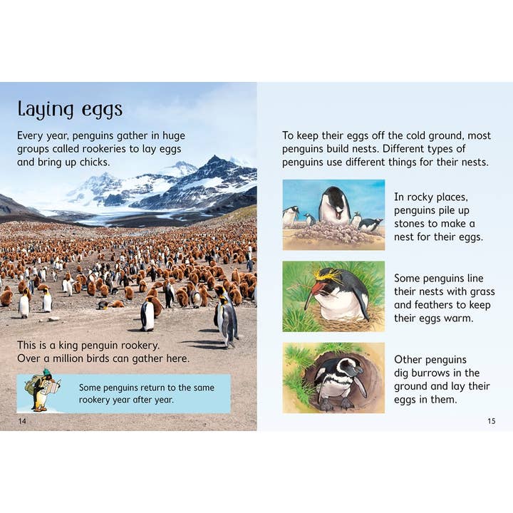 HarperCollins - Wholesale Early Reader Book (6-8) - Penguins : Usborne2