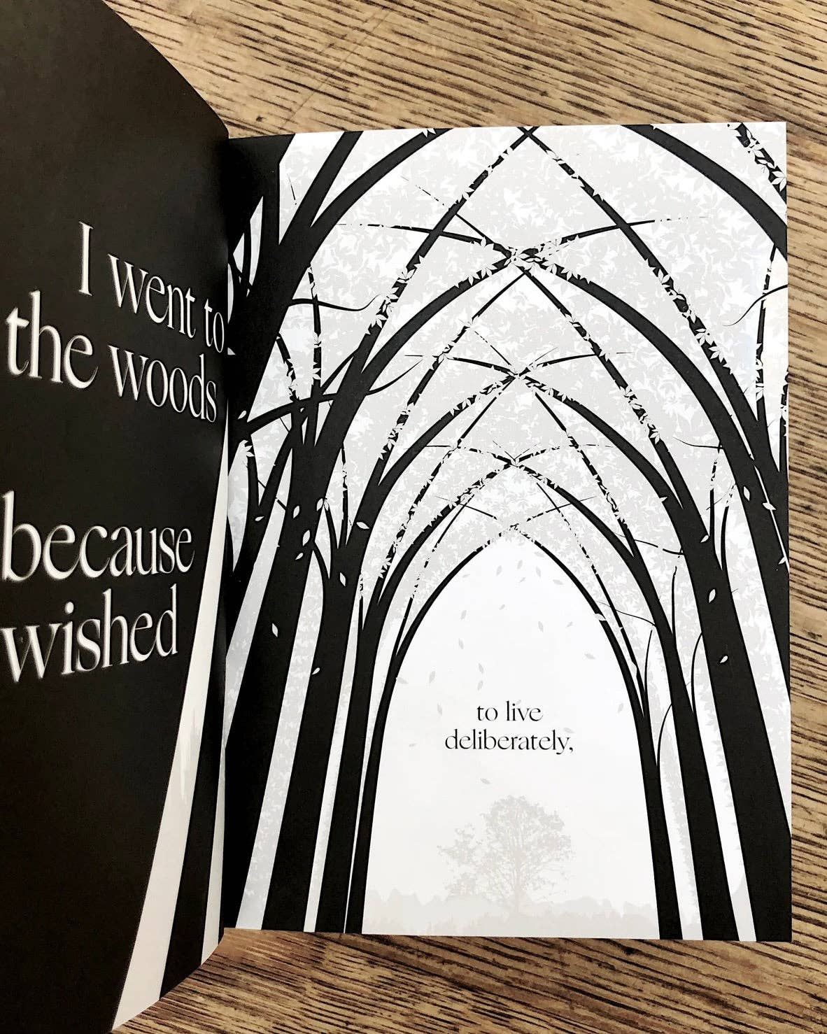 Obvious State - Wholesale Display Book - To Live Deliberately, Henry David Thoreau4