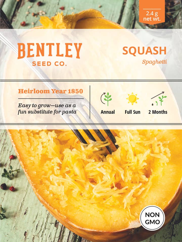 Squash, Spaghetti Seed Packets for wholesale by Bentley Seed Co.