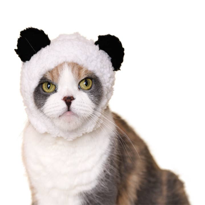 Clever Idiots Inc. - Vendita all'ingrosso Costume da carnevale - Gatti - Kitan Club - Cuffia per gatti, motivo: orso