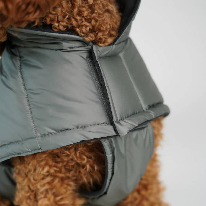 Staey - Wholesale Pet Jacket - Dog - Nora Dog Coat | Moss Green8
