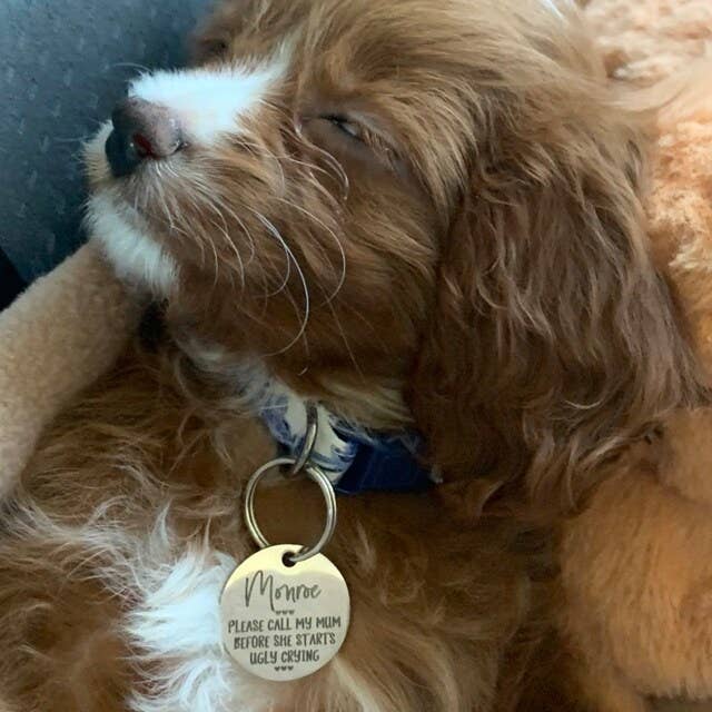 Very Vintage Designs - Vendita all'ingrosso Collare - Cani e gatti - Collare per Cane Blu Stile Vintage Floreale Royalcore Fatto a Mano USA7