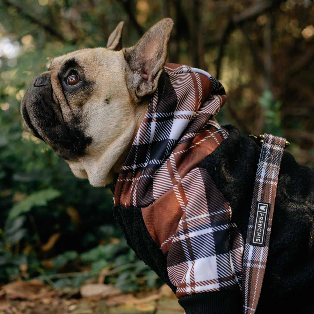 Frenchie - Wholesale Pet Hoodie - Dog - Frenchie Dog Hoodie - Cocoa Plaid14