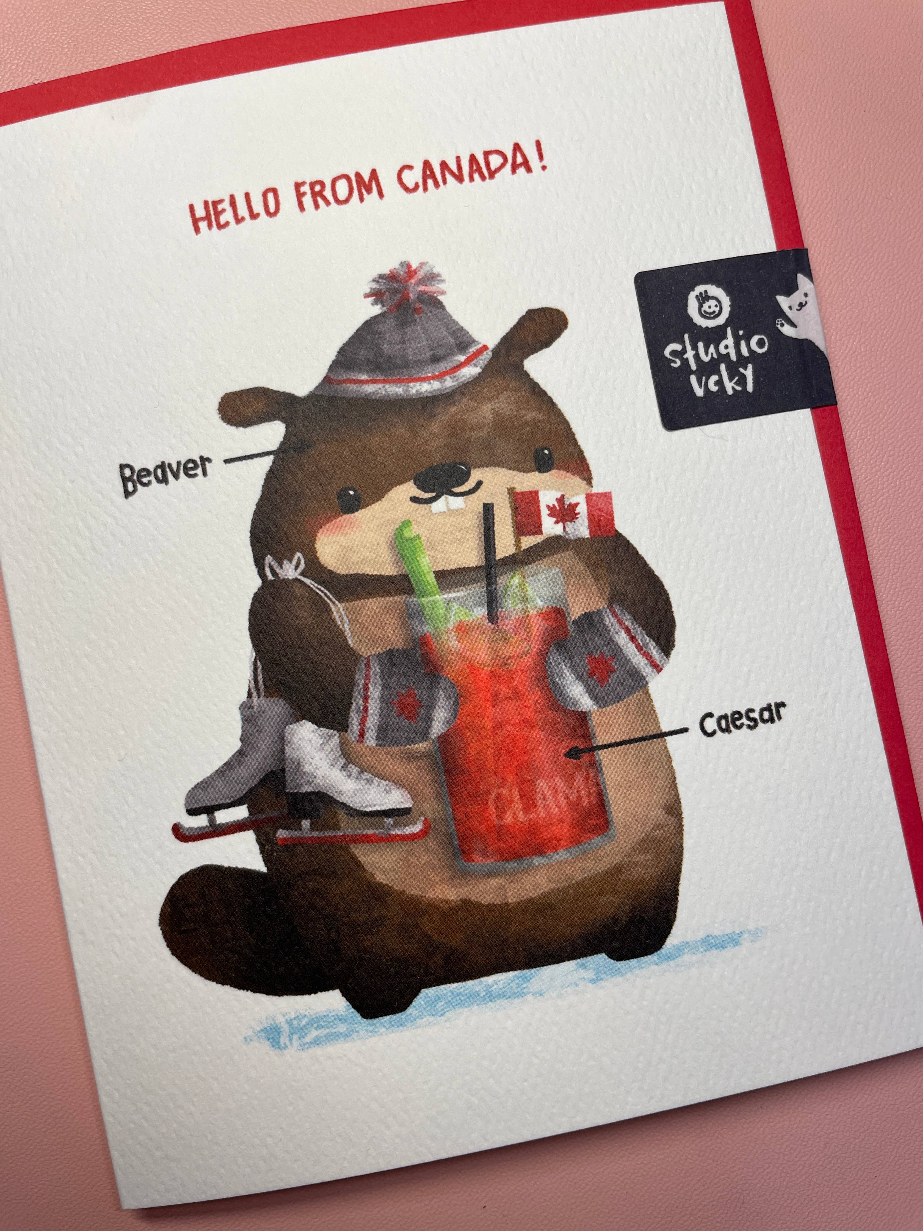 studio vcky - Wholesale Everyday Greeting Card - Greeting Card - Beaver Caesar Canada2