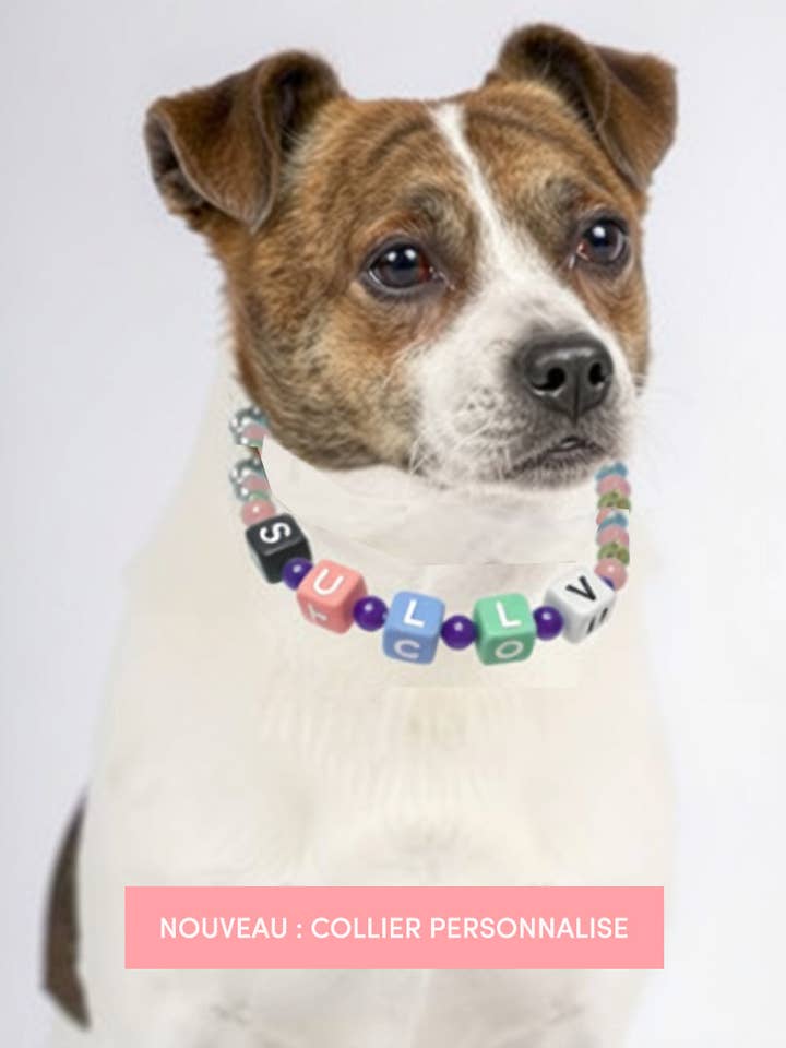 PERSONALISIERBARE HALSKETTE MIT EDELSTEINEN DER TUGENDEN - ROSENQUARZ UND AMETHYST für den Großhandel von BAND OF HEARTBREAKERS