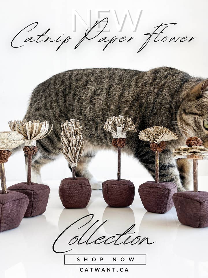 Catnip Paper Flower for wholesale by CATWANT
