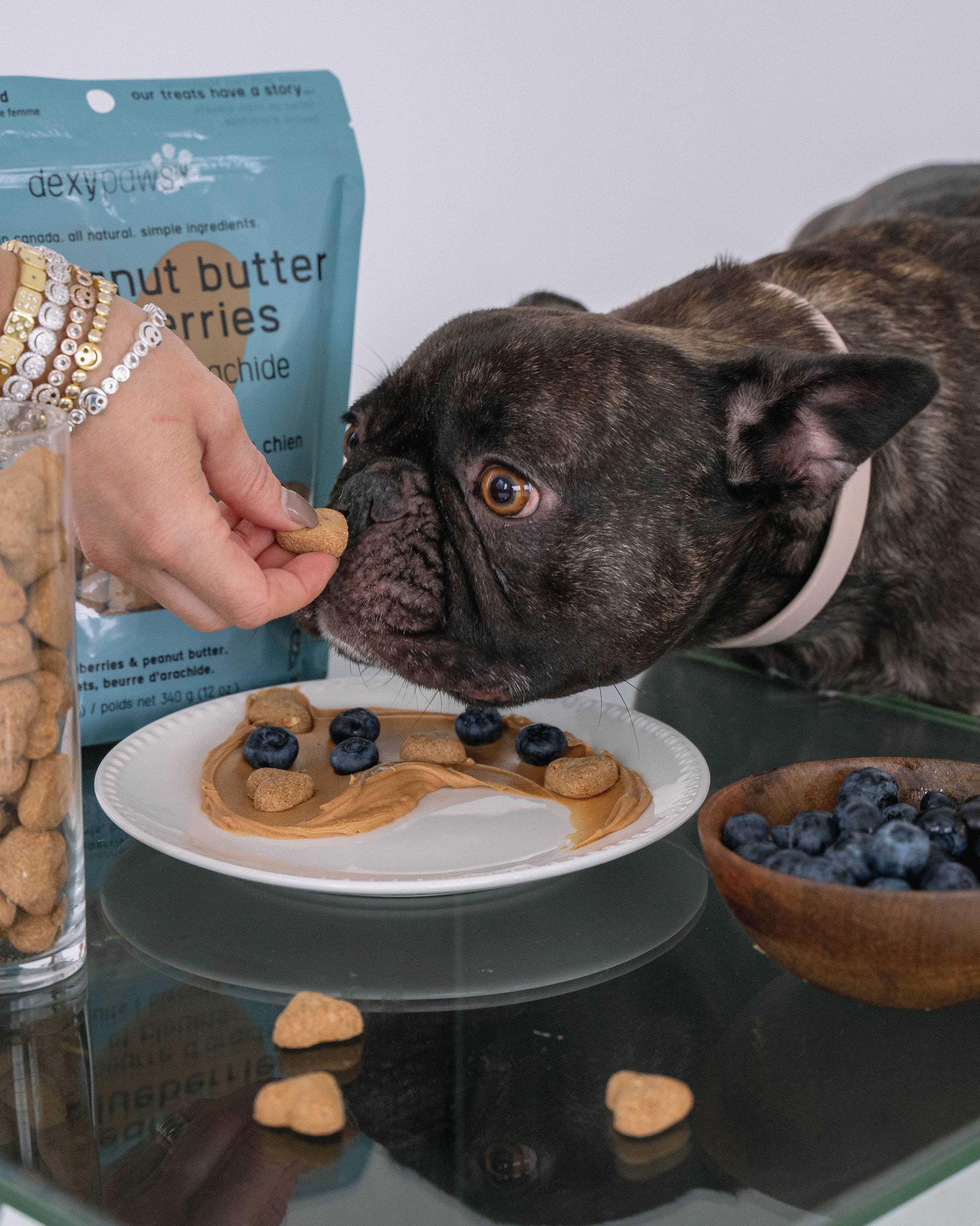 dexypaws - Vendita all'ingrosso Snack - Cani - Dolcetti per cani al burro di arachidi e mirtilli2