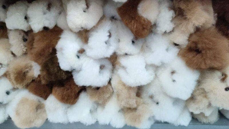 Choice Alpaca Products – Peluche - Crianças e bebés por atacado – Porquinho-da-índia de pelo de alpaca (« Cuy »)3
