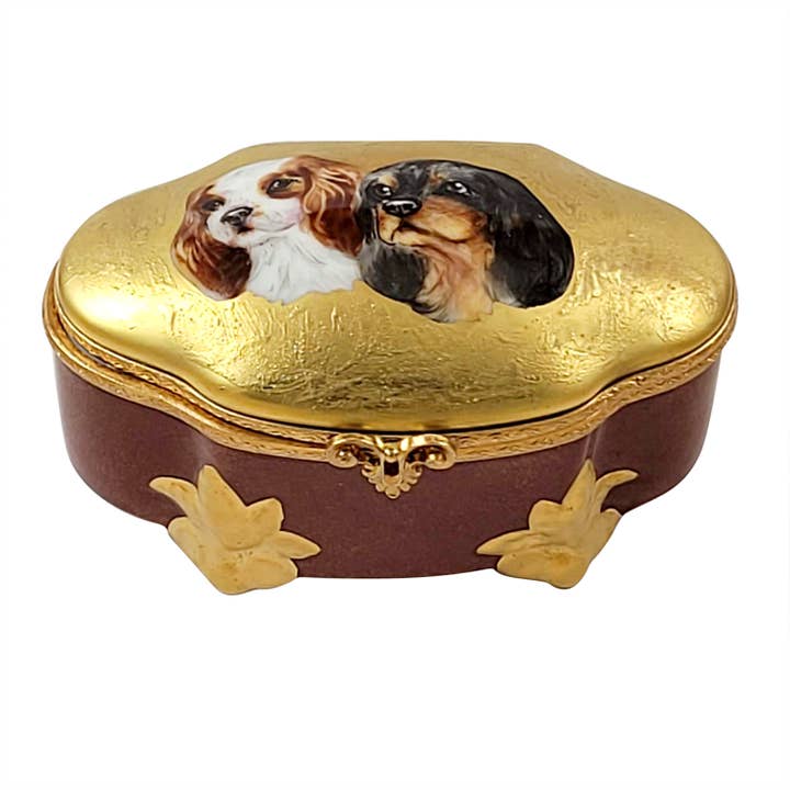 King Charles Spaniels pour la vente par Rochard