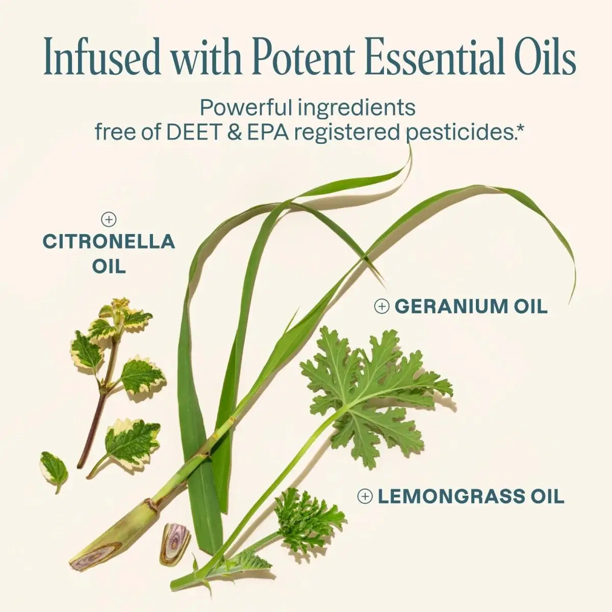 Cliganic - Wholesale Insect Repellent - Mosquito Repellent Bracelets2